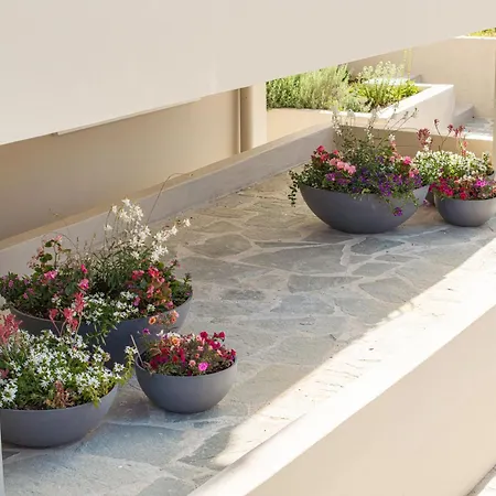Luxury Irene Villa Metaxata